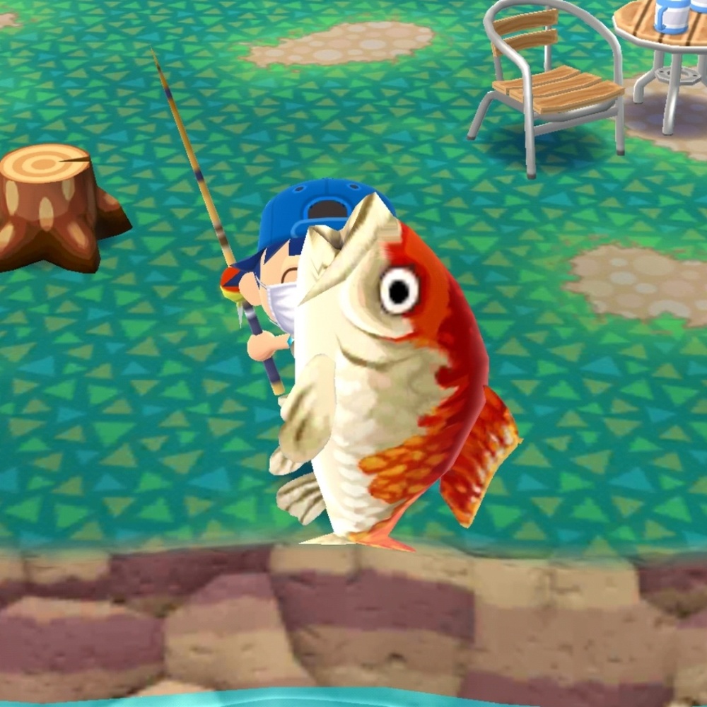 Meet your Posher, Kylie